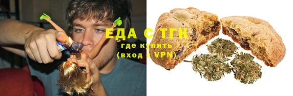 крисы Каменка