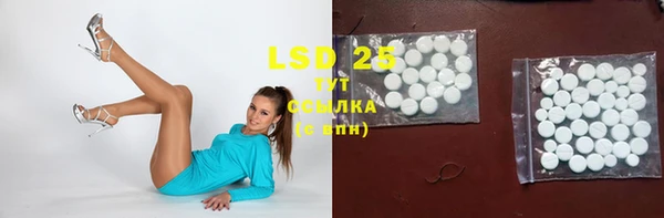 крисы Каменка