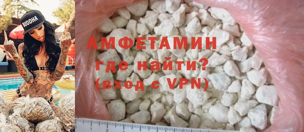 крисы Каменка