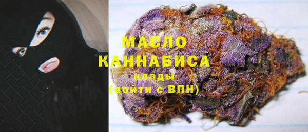 крисы Каменка