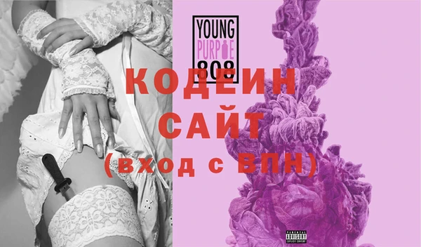 крисы Каменка
