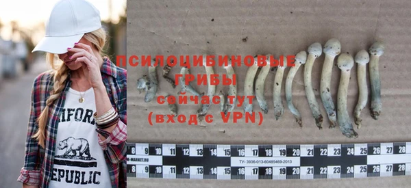 прущие грибы Инсар