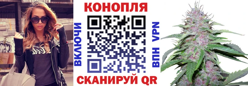 Купить закладки  Миллерово  Бошки Шишки Ganja 